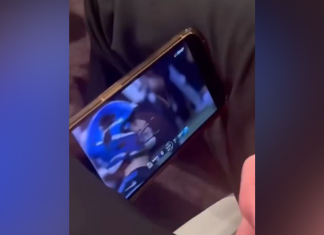 Dax Shepard watched the Lions last night at the Golden Globes