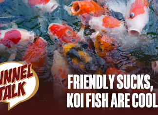 Tunnel Talk 177: Friendly Sucks, Koi Fish are Cool 🎏 🎧 Tunnel Talk 177: Friendly Sucks, Koi Fish Are Cool.