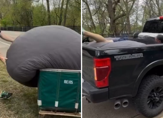 Lions: Dan Campbell vs. a Bean Bag