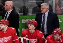 Detroit Red Wings: Are They Back?