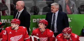 Detroit Red Wings: Are They Back?