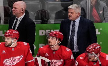 Detroit Red Wings: Are They Back?